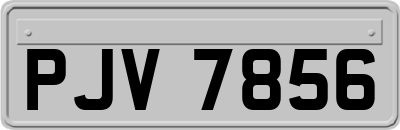 PJV7856