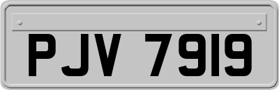 PJV7919