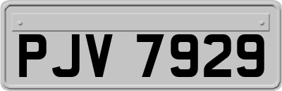 PJV7929