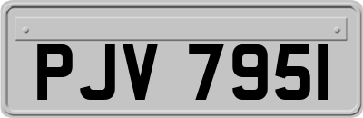 PJV7951