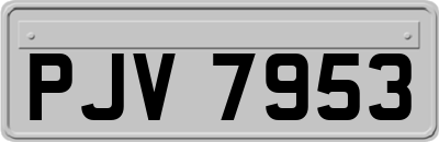 PJV7953