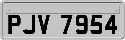 PJV7954