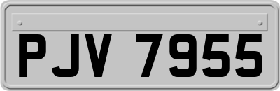 PJV7955