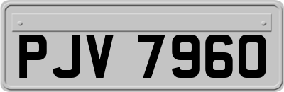 PJV7960