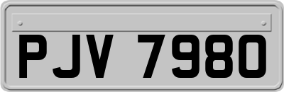 PJV7980