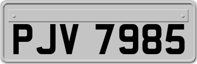 PJV7985