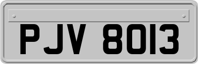 PJV8013