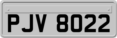 PJV8022