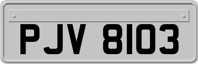 PJV8103