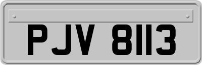 PJV8113
