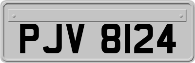 PJV8124