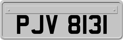 PJV8131
