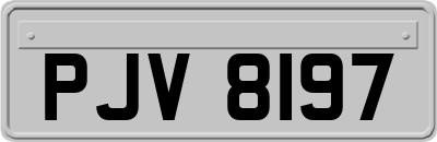 PJV8197