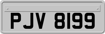 PJV8199