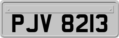 PJV8213