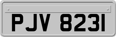 PJV8231