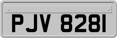 PJV8281