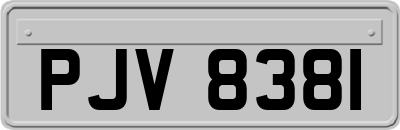 PJV8381
