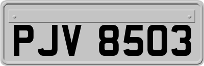 PJV8503