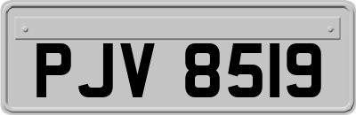PJV8519