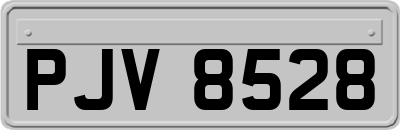 PJV8528