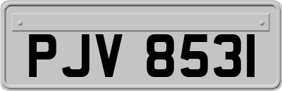 PJV8531