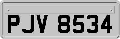 PJV8534