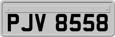 PJV8558