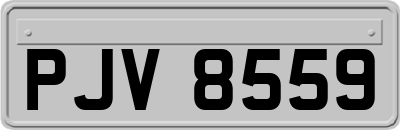 PJV8559