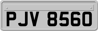 PJV8560