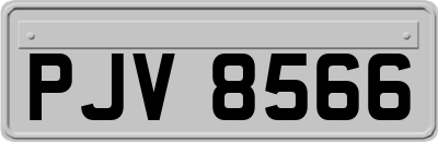 PJV8566