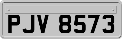 PJV8573