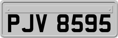 PJV8595