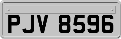 PJV8596