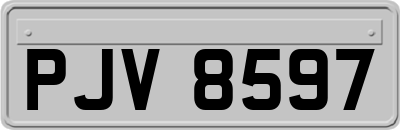 PJV8597
