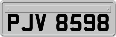 PJV8598