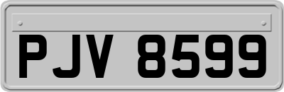 PJV8599