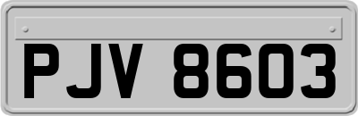 PJV8603