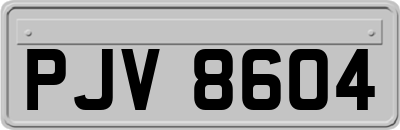 PJV8604