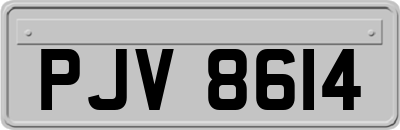 PJV8614