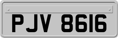 PJV8616