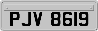 PJV8619