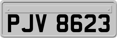 PJV8623