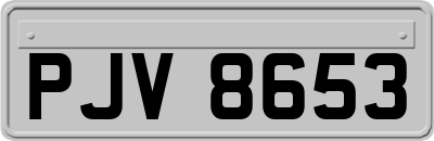 PJV8653