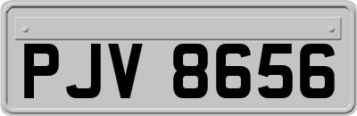 PJV8656