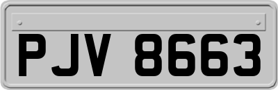 PJV8663