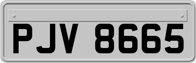 PJV8665