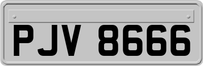 PJV8666