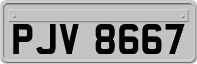 PJV8667