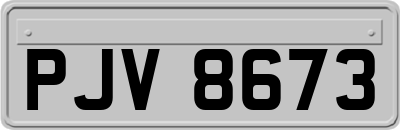 PJV8673